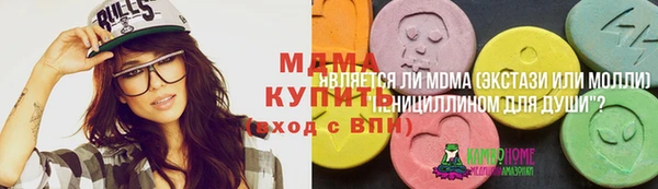 ГАЛЛЮЦИНОГЕННЫЕ ГРИБЫ Ладушкин