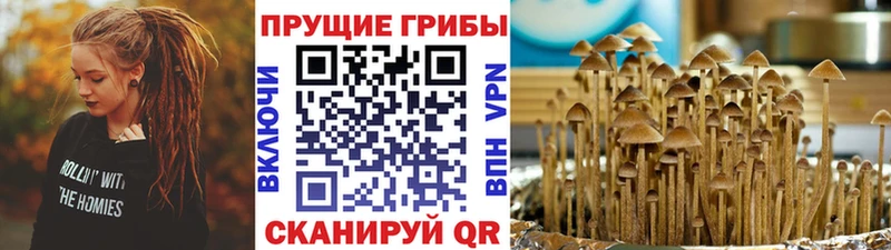 закладка  blacksprut tor  Псилоцибиновые грибы Psilocybine cubensis  Мглин 