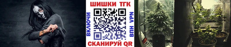 закладки  Мглин  Шишки марихуана SATIVA & INDICA 